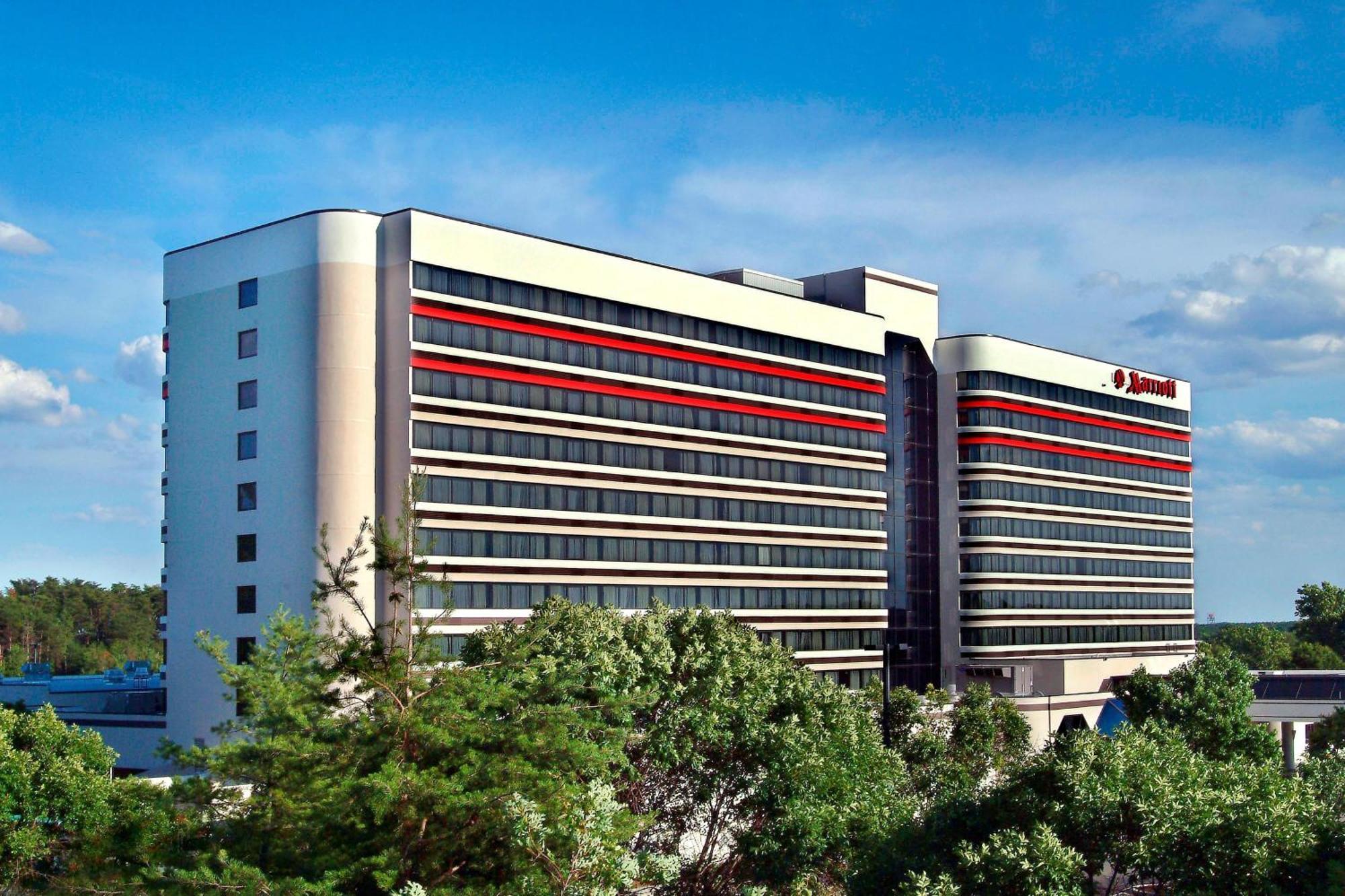 BWI Airport Marriott Hotell Linthicum Exteriör bild